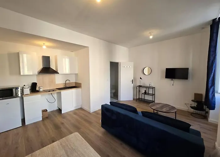 Studio Lumineux 25M2 - Centre Ville Mazamet