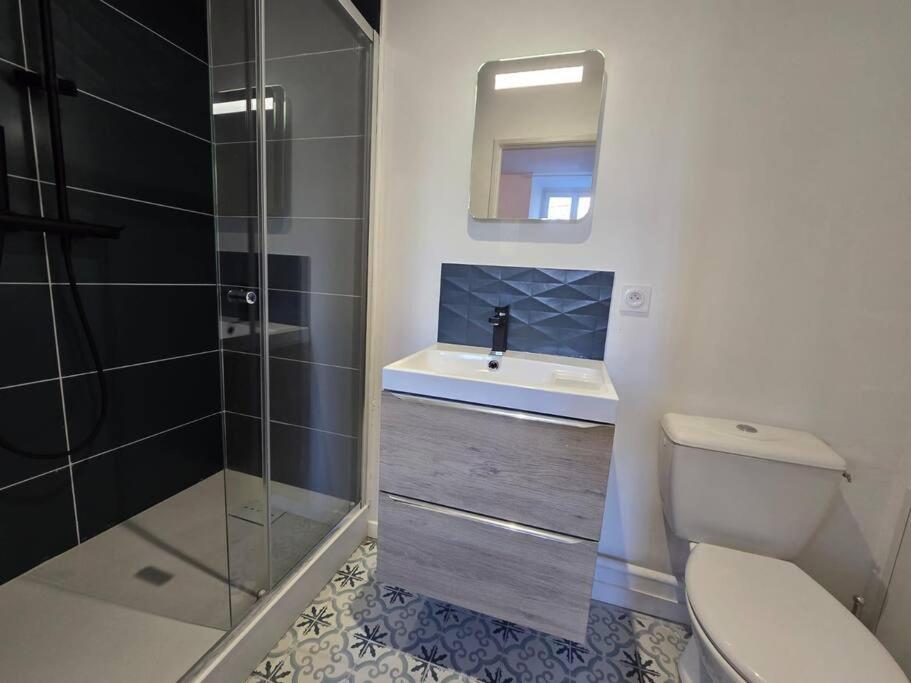 Lumineux 25m2 - Centre Appartement Mazamet